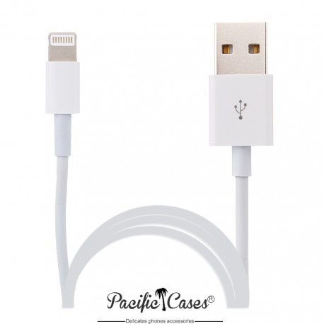 Câble lightning pour Apple iPod 5G iPod 7G vers USB